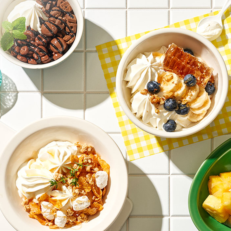 Yogurt Ice cream - Yoajeong